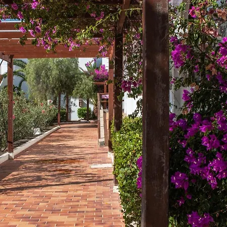 The Colors House, 646 Y 524 - Private Costa Teguise
